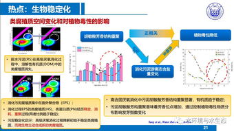 城市污水廠污泥處置工藝技術(shù)路線(xiàn)——同濟(jì)戴曉虎教授技術(shù)推廣